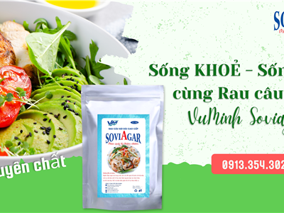 Chọn rau câu sợi Vũ Minh Soviagar - Chọn Lối Sống Lành Mạnh